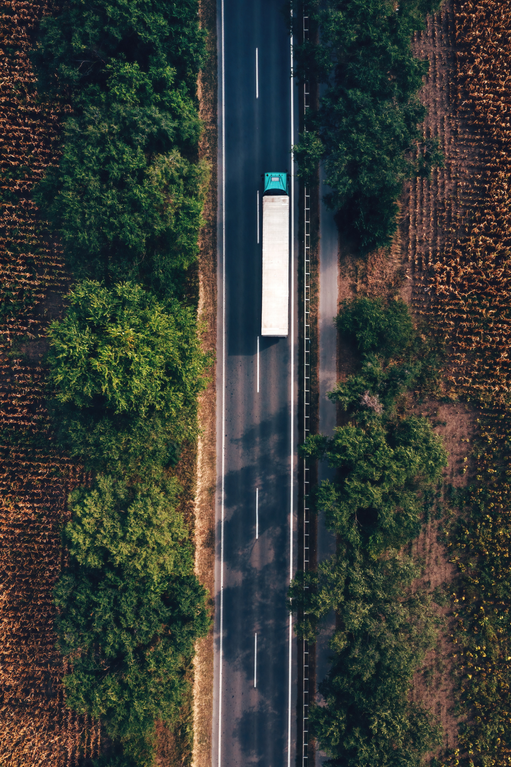 Transporte de carga y logística internacional en Guadalajara